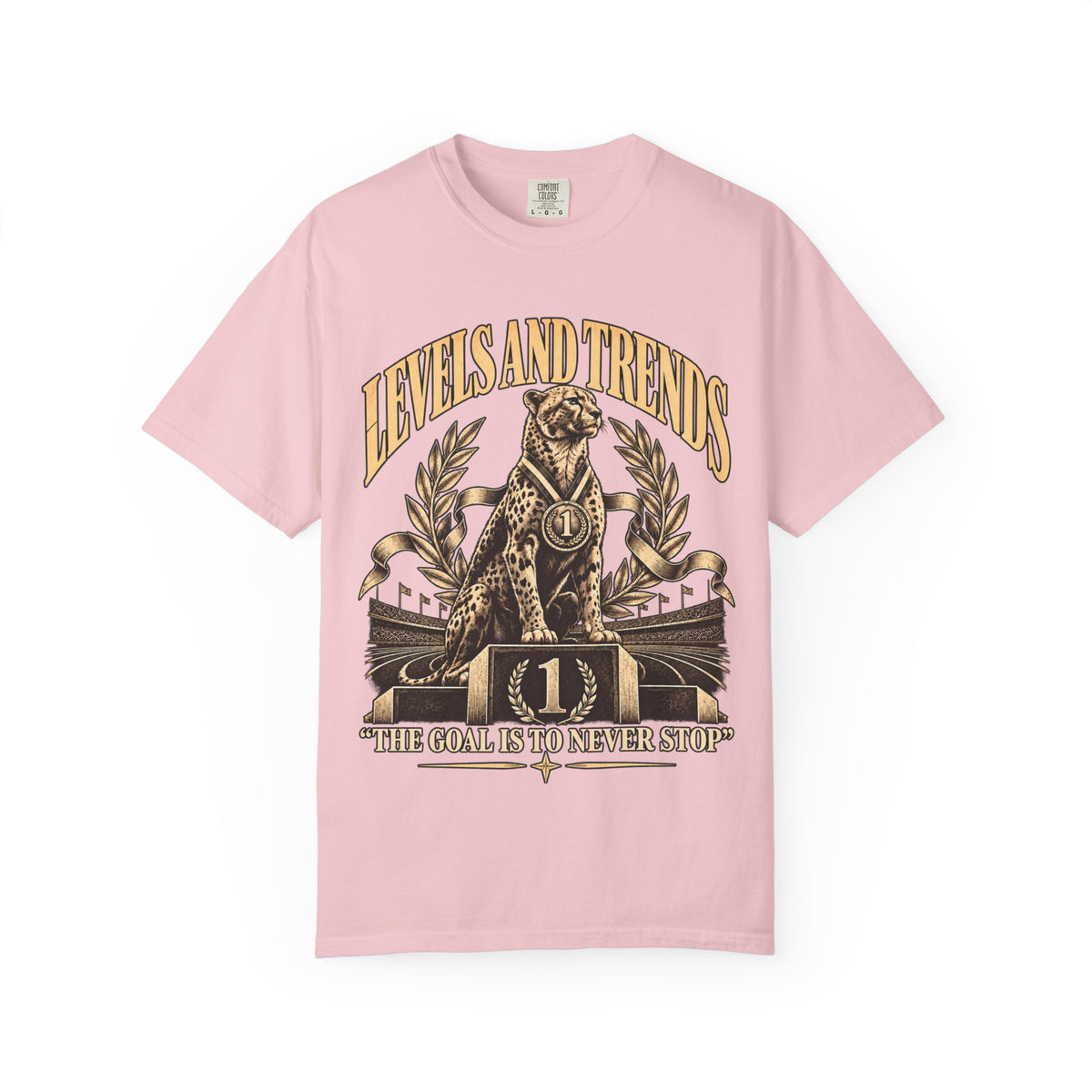 Levels and Trends "The Goal Is to Never Stop" Graphic T-Shirt