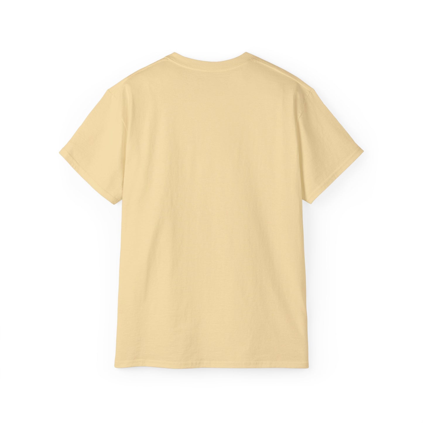 No Low Vibrations Tee — Leo Zodiac Horoscope Graphic Shirt