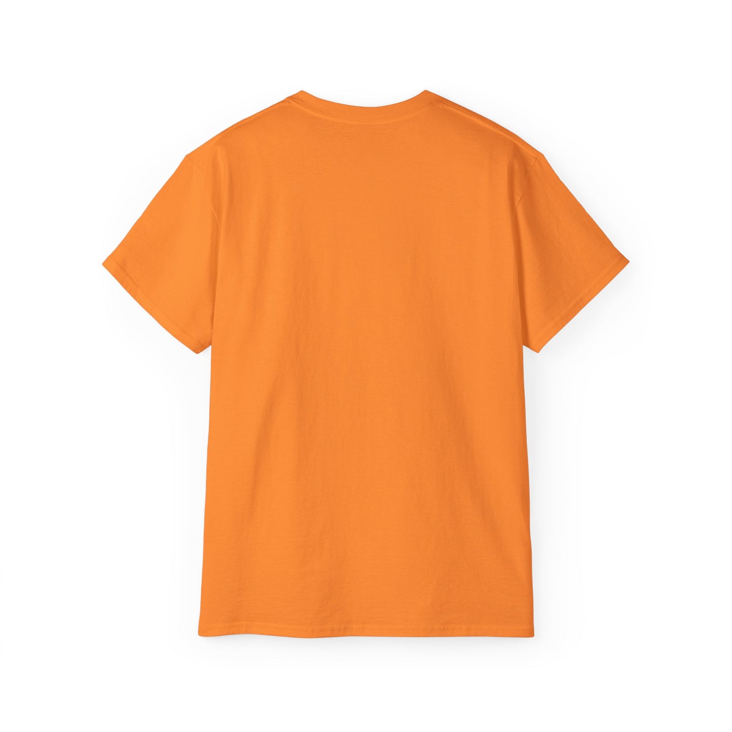 No Low Vibrations Tee — Leo Zodiac Horoscope Graphic Shirt