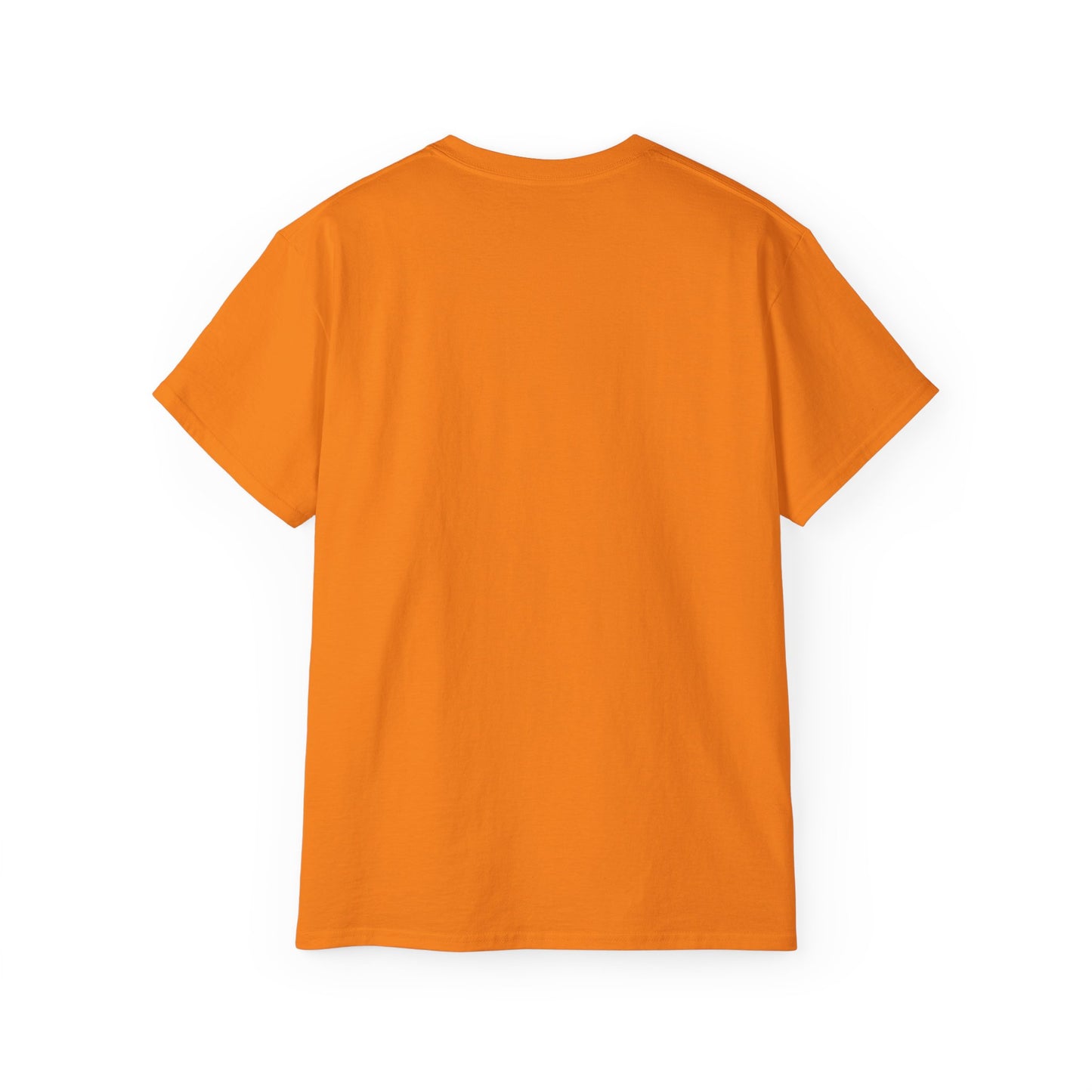 No Low Vibrations Tee — Leo Zodiac Horoscope Graphic Shirt