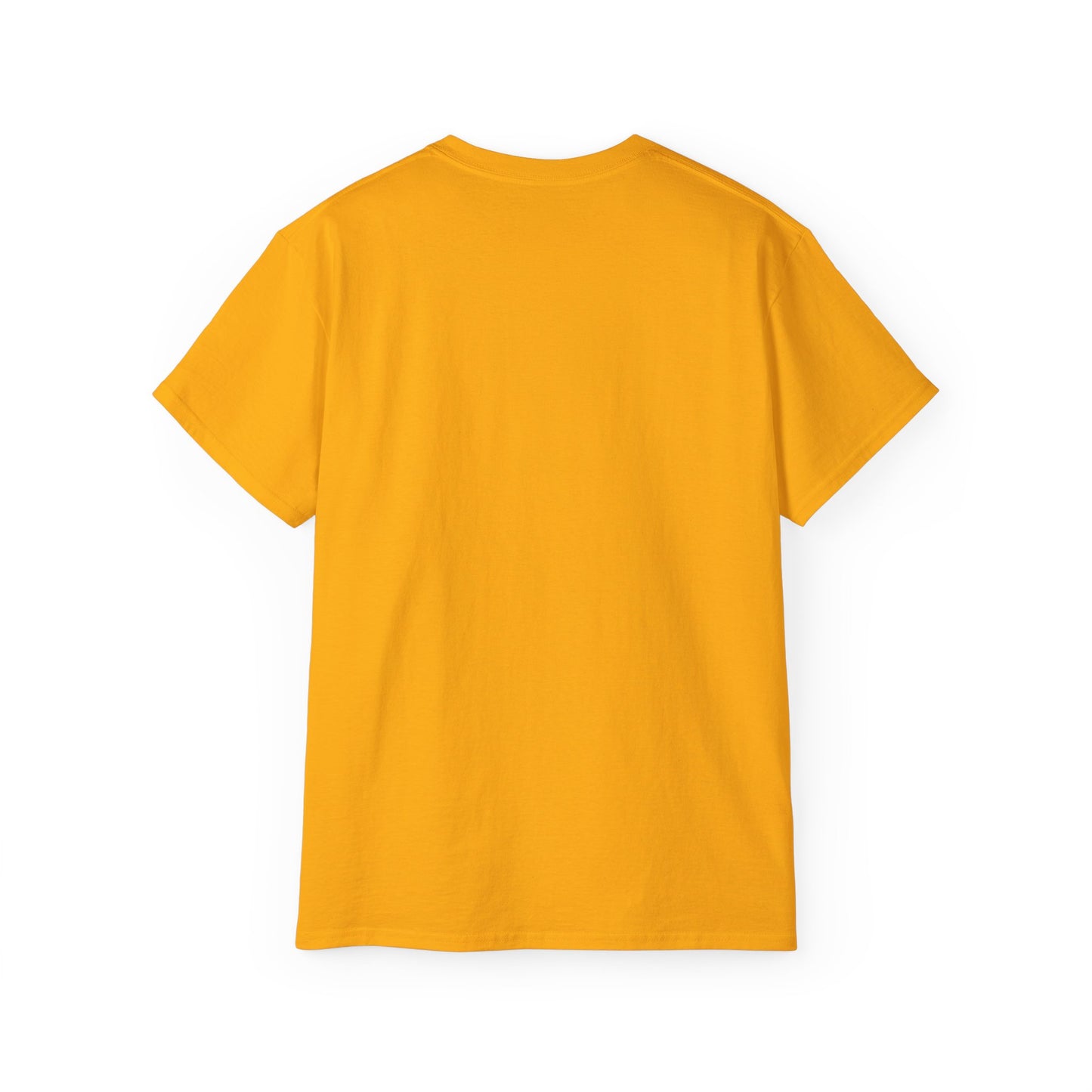 No Low Vibrations Tee — Leo Zodiac Horoscope Graphic Shirt