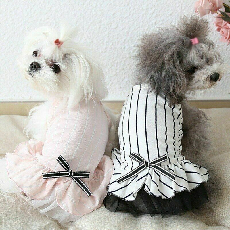 Fashionable Summer Pet Dress Suit