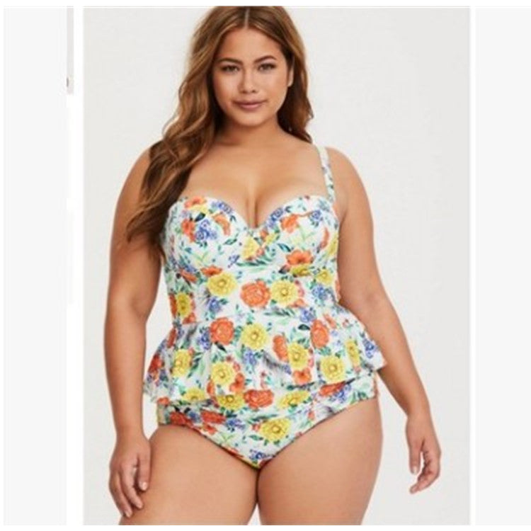 Plus Size Sexy Two-Piece Bikini Swimsuit