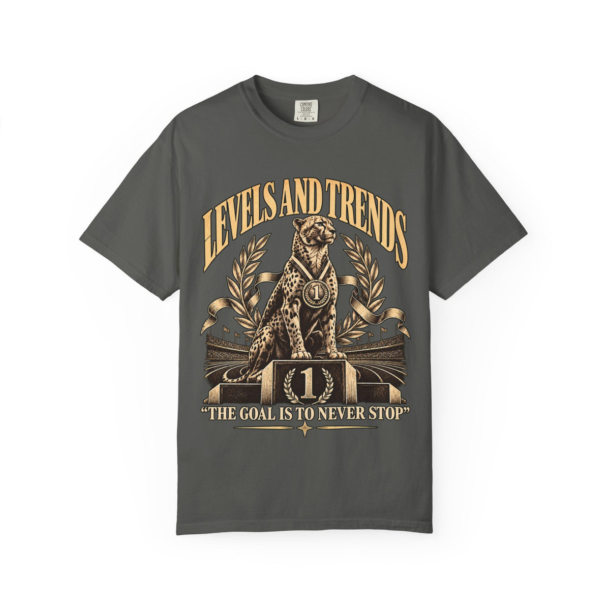 Levels and Trends "The Goal Is to Never Stop" Graphic T-Shirt