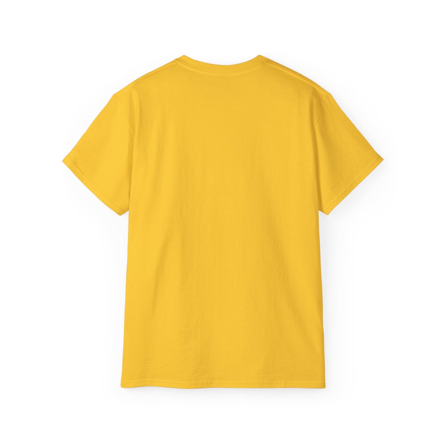 No Low Vibrations Tee — Leo Zodiac Horoscope Graphic Shirt