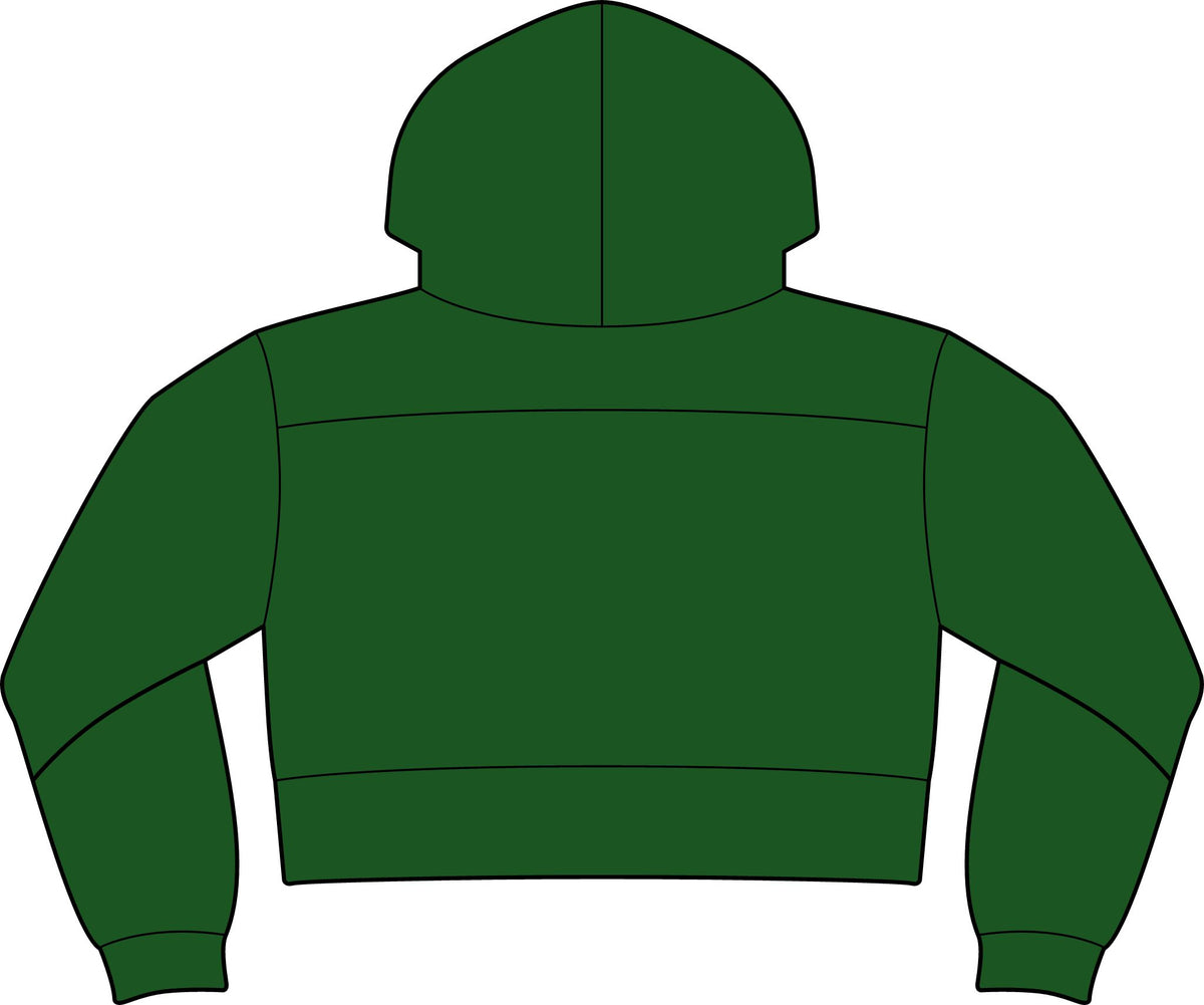 Cropped Hoodie — Levels and trends Cropped Fleece Hooded Sweatshirt