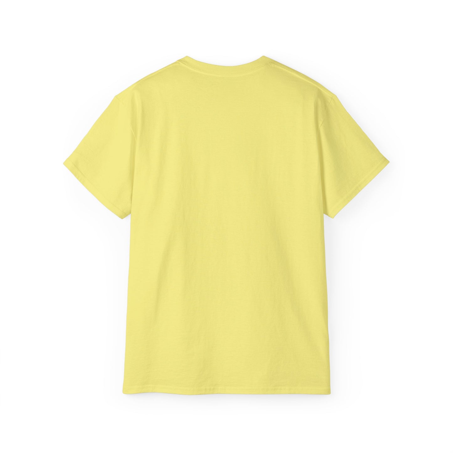No Low Vibrations Tee — Leo Zodiac Horoscope Graphic Shirt