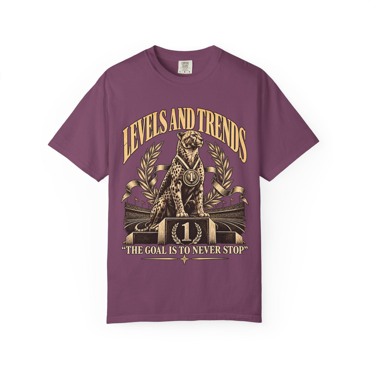 Levels and Trends "The Goal Is to Never Stop" Graphic T-Shirt
